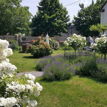 Ferienwohnung Altes Pfarrhaus Mit Flair Und Moselblick Brauneberg Exterior foto